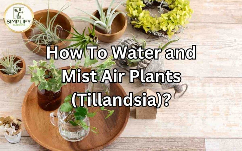 plant vase indoor MoMA Self Watering Pot