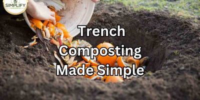 Pros & Cons of Trench Composting Made Simple