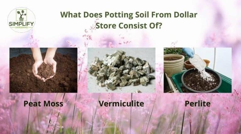 Dollar Store Potting Soil Any Good? Know What You're Buying. - Simplify ...