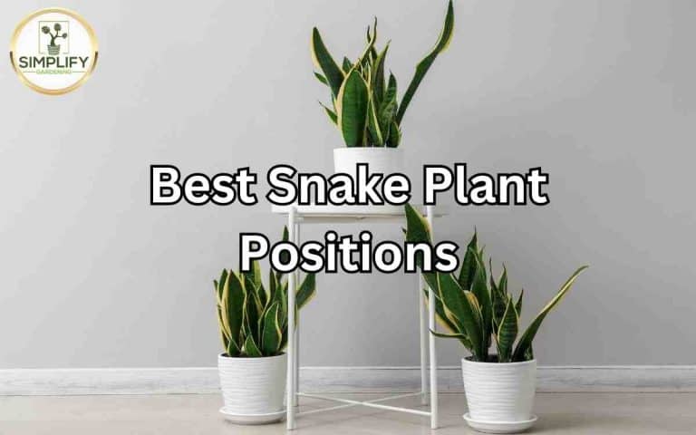 pothos hydroponic UNS Hydro Pot - Pothos Holder, Hydroponics main image 0
