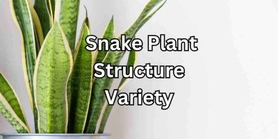 fake pothos Silk Plants Direct Giant Pothos Pole Plant - Green main image 1