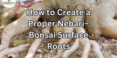 How to Create a Proper Nebari–Bonsai Surface Roots
