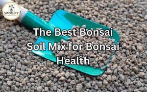 Close-up of a trowel with a sample of the best bonsai soil mix, showcasing its texture and composition. Best Bonsai Soil Mix.