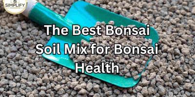 Effective Bonsai Water Management How to Water Bonsai Trees.