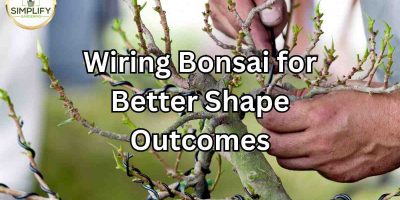 Wiring Bonsai for Better Shape Outcomes