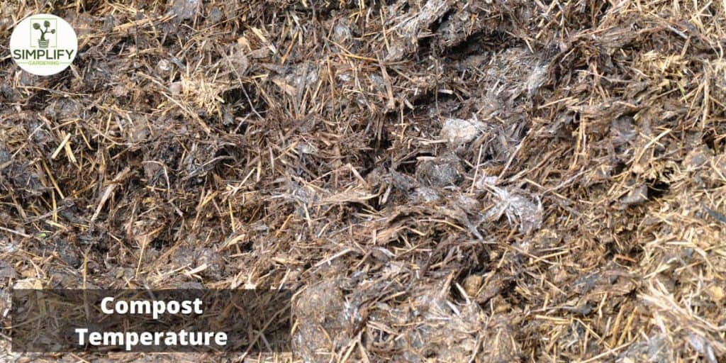 How to Compost Chicken Manure Simplify Gardening