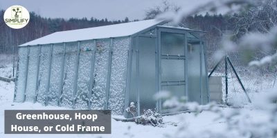 Greenhouse Gardening: Year-Round Growing Tips