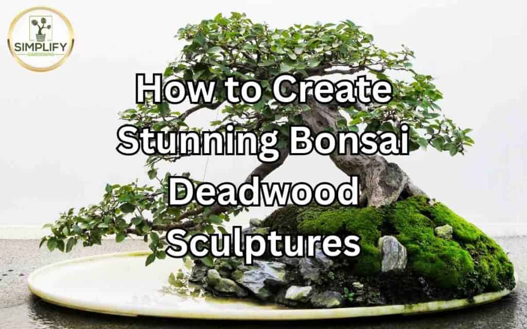 houseplant-tools-simplify-gardening