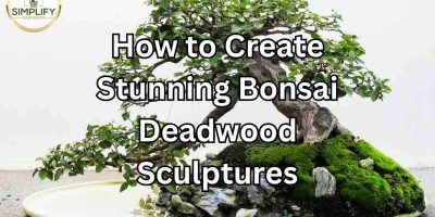 How to Create Stunning Bonsai Deadwood Sculptures