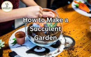A beautiful succulent garden arrangement featuring a variety of succulent plants in different colors, shapes, and sizes.