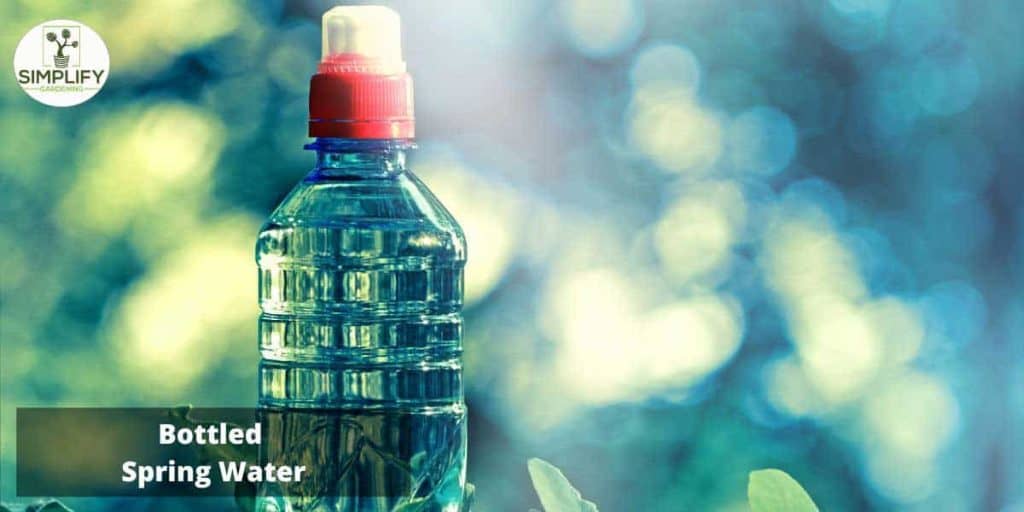 BEST WATER For Plants. What You Need to Know Simplify Gardening