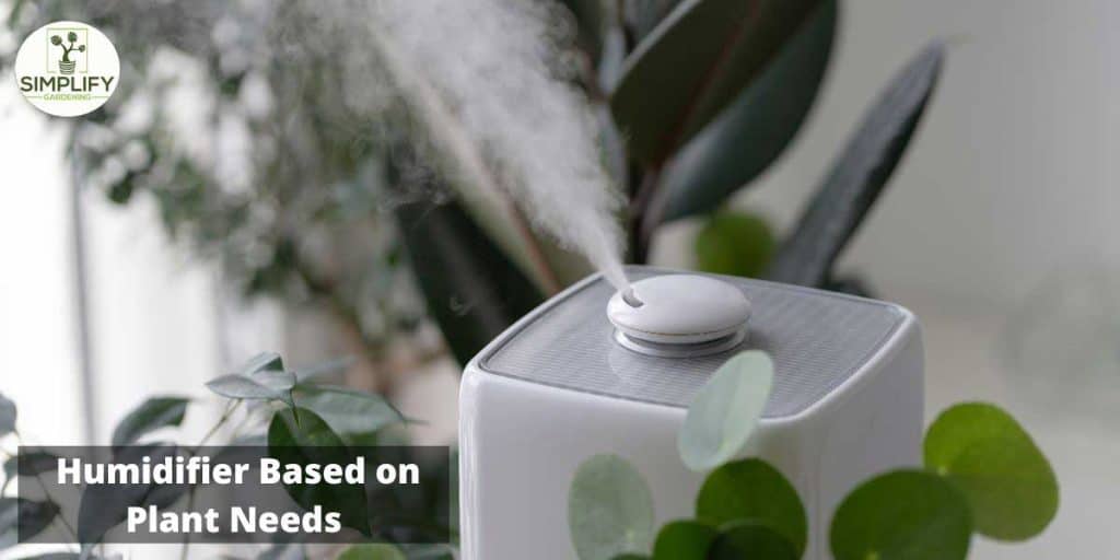 What Type of Humidifier Is Best for Plants? Simplify Gardening