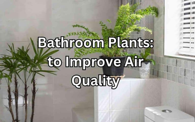 Bathroom plants improve air quality — honest, systems-based gardening advice from simplifygardening.com