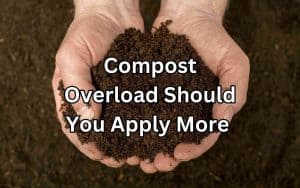 Hands holding compost, showcasing Compost Overload