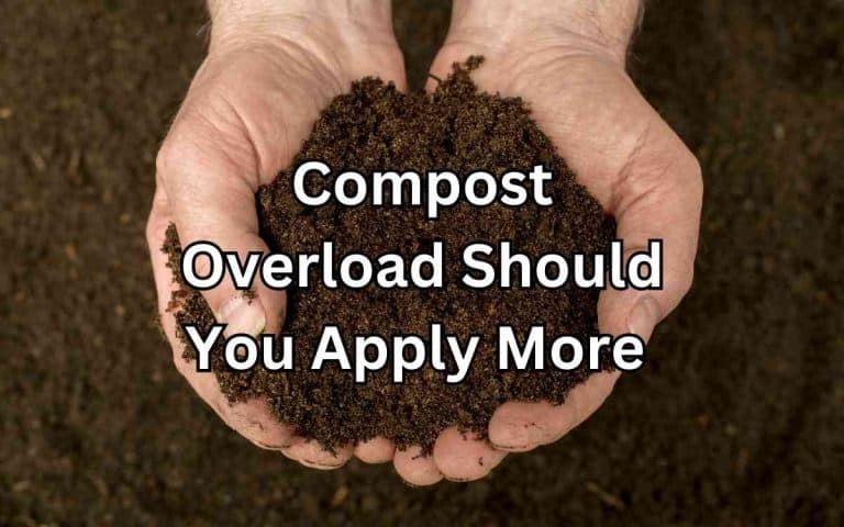 Compost showing compost overload you apply more — part of Tony O'Neill's Composting Masterclass at simplifygardening.com