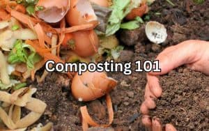 Two hands holding compost with unbroken down compost in the background, showcasing Composting 101.