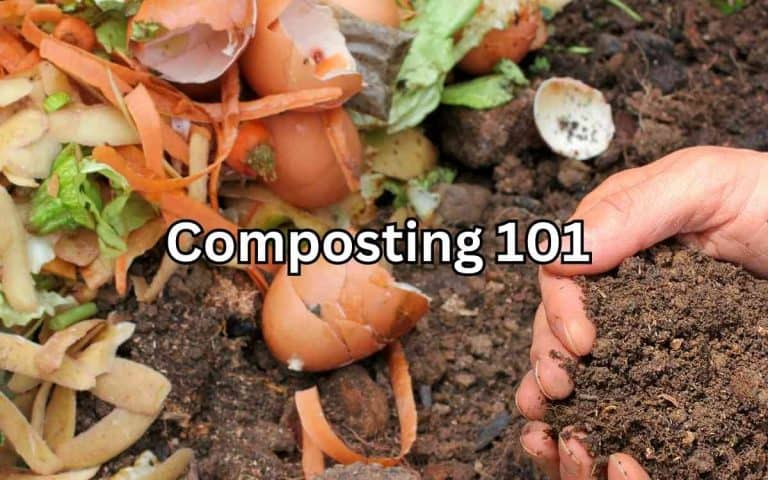 Composting demonstrating composting techniques taught by Tony O'Neill at simplifygardening.com
