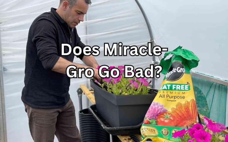 Miracle gro go bad — practical growing guidance from Tony O'Neill at simplifygardening.com