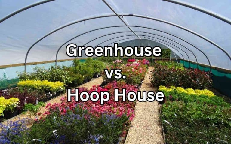 Greenhouse hoop house for starting seeds earlier and protecting tender plants from cold weather