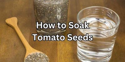 Why do tomato plants have hairs? What you never knew! - Simplify Gardening