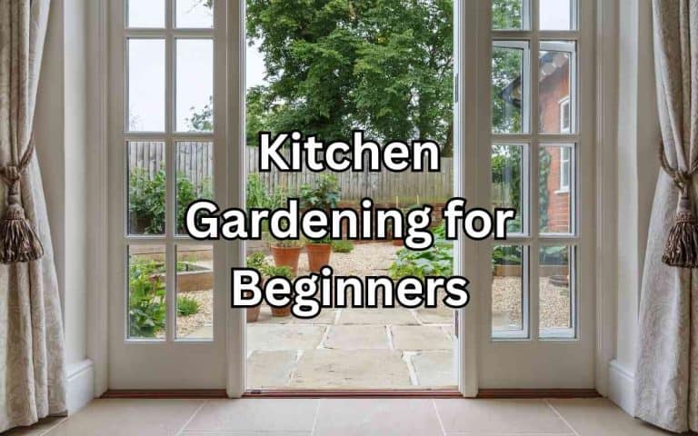 Kitchen gardening beginners — honest, systems-based gardening advice from simplifygardening.com