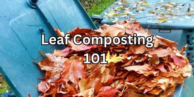 Compost Size Compost bin size: How big do you need it? - Simplify Gardening