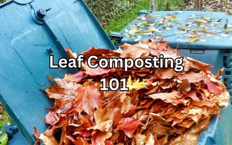 Leaf composting demonstrating composting techniques taught by Tony O'Neill at simplifygardening.com