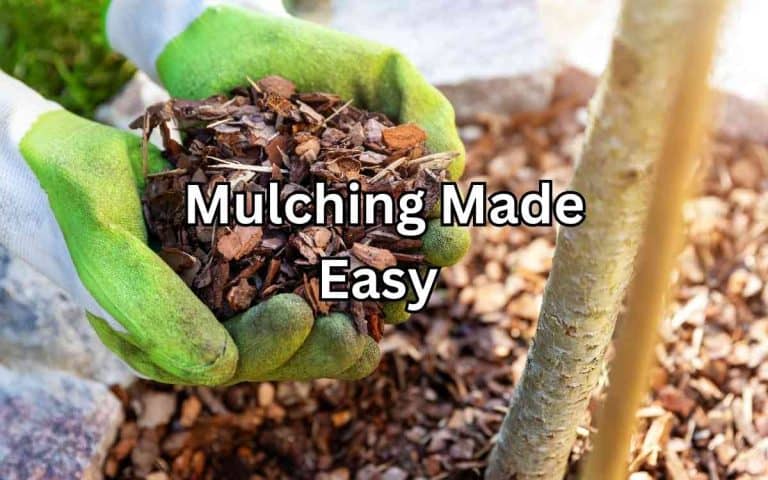 Mulching made easy covered in Tony O'Neill's Simplify Gardening at simplifygardening.com