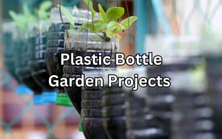 Plastic bottle garden projects arranged for efficient crop rotation and productive seasonal vegetable growing