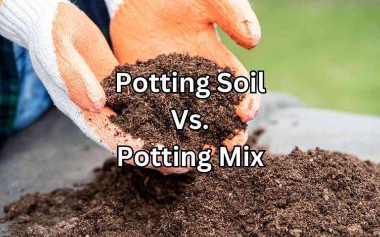 Composting - Simplify Gardening