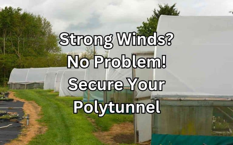 Garden structure showing strong winds no problem secure polytunnel for season extension and frost protection