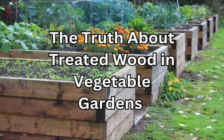 Truth treated wood vegetable gardens — honest, systems-based gardening advice from simplifygardening.com