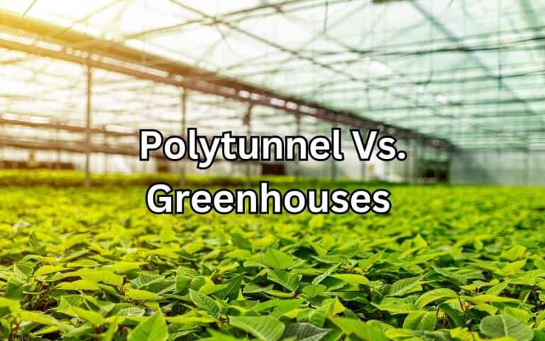 Garden structure showing polytunnel greenhouses for season extension and frost protection