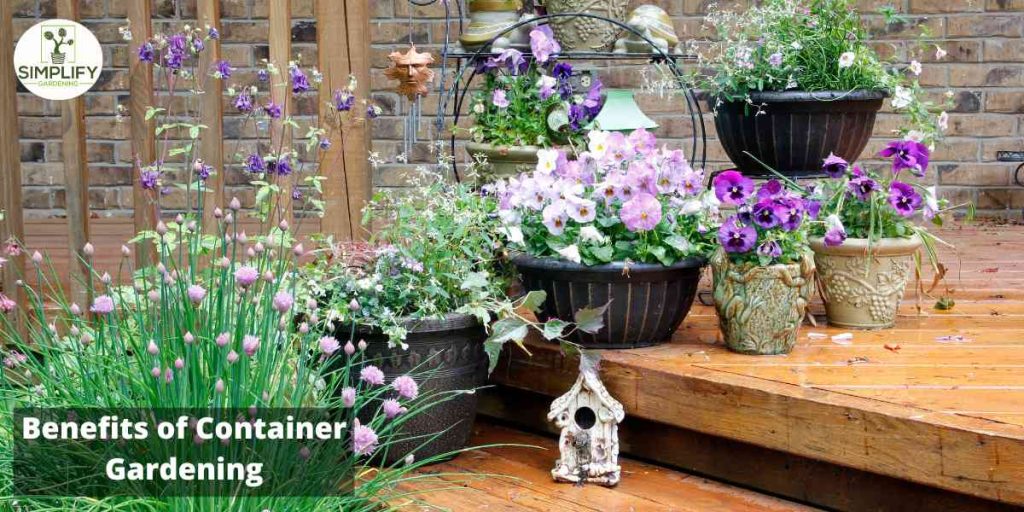 Planting Made Easy Container Gardening Tips for Beginners Simplify Gardening