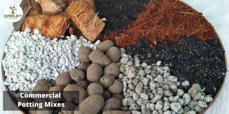 Expert Tips for Making the Best Soil for Containers - Simplify Gardening