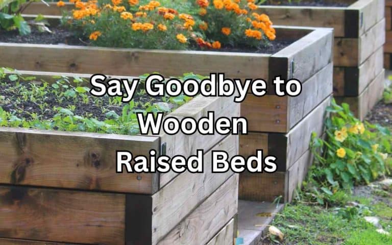 Kitchen garden with say goodbye wooden raised beds — practical layout and growing from simplifygardening.com