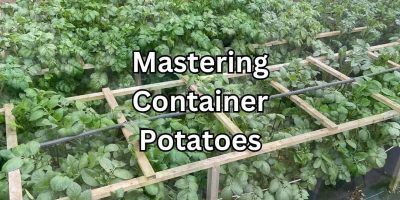 Mastering Container Gardening: Growing Potatoes Made Easy