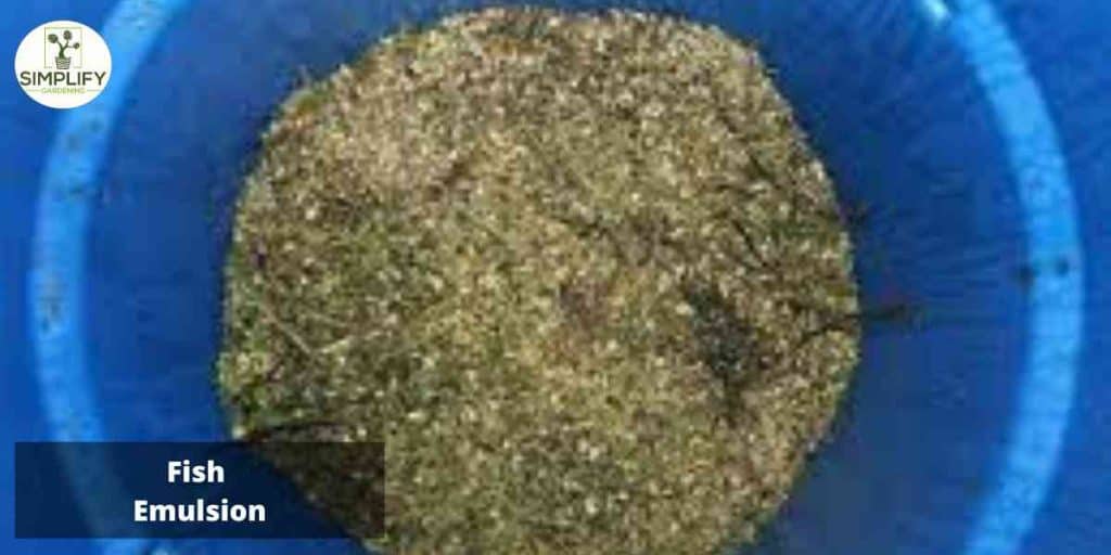 Top 5 Fertilizers for Cabbage Growth and Yield Simplify Gardening