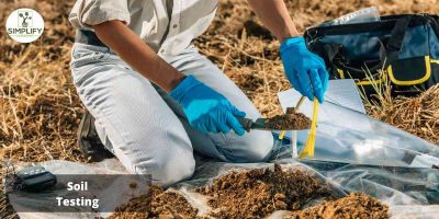 Prepare Your Soil Like a Pro: 5 Tasks for an Explosive Spring Garden!