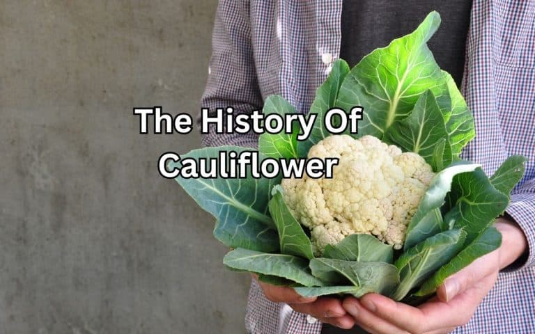 History cauliflower covered in Tony O'Neill's Simplify Gardening at simplifygardening.com