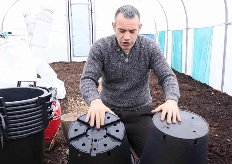 Two different buckets — practical growing guidance from Tony O'Neill at simplifygardening.com