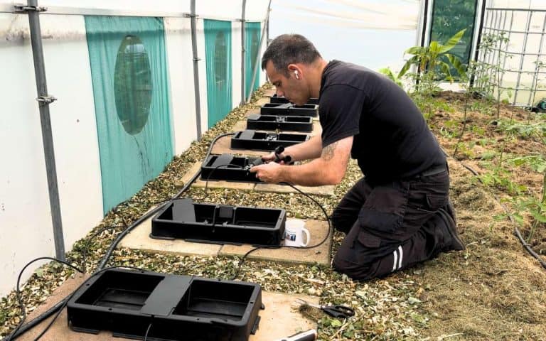 Tony setting drip irrigation autopots — practical growing guidance from Tony O'Neill at simplifygardening.com